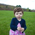 IMG 7841